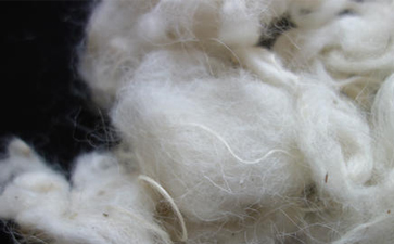 不同纖維在洗滌時應該注意什么